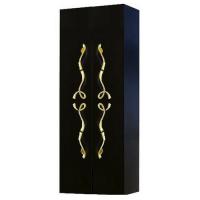 Пенал Aqwella Due amanti 500х200х1200 мм универсальный Due.05.05/BLK/GL чёрный/золото