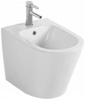 Биде напольное Jacob Delafon Rodin+ EBJ0002-00 белый