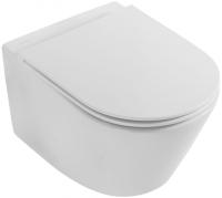 Унитаз подвесной Jacob Delafon Rodin+ без обода EDY102-00 белый