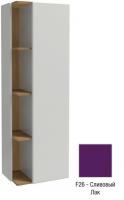 Подвесная колонна Jacob Delafon Terrace Premium 500х350х1500 мм петли справа EB1740DRU-F26 сливовый глянцевый