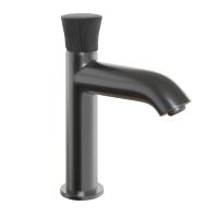 Смеситель для раковины Paini Domus 18PZ205PZ(GJAPI) чёрный матовый